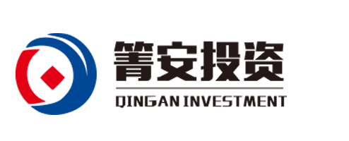 上海箐安投资管理有限公司